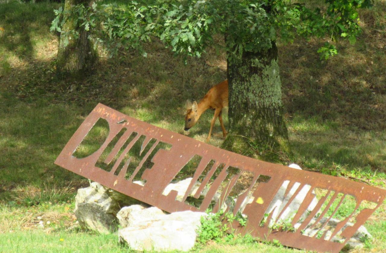 Bed and Breakfast D'une Autre Nature à Mesland Extérieur photo